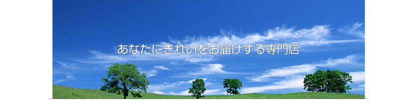 綺麗をお届けする専門店　木と青空の写真